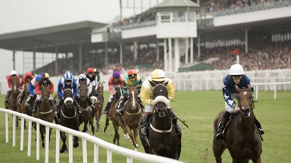 Insiders Tips for Galway Races