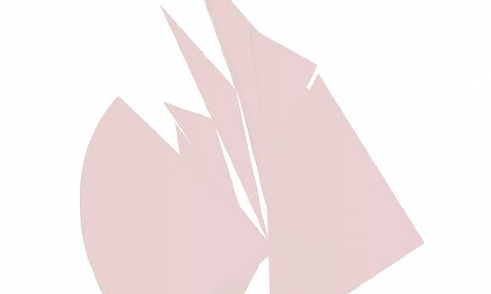 European Solid Mechanics Conference