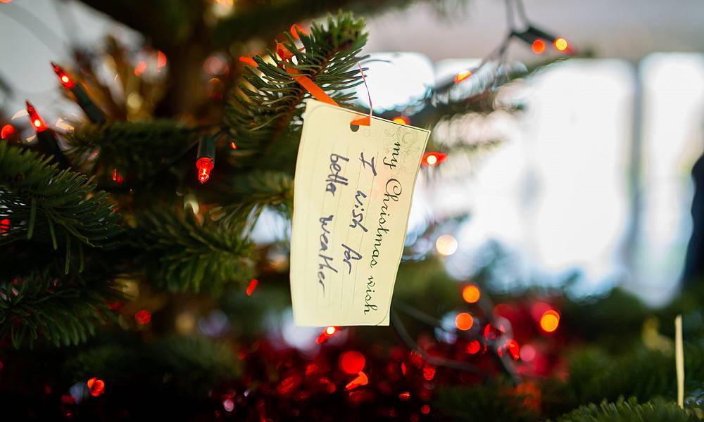 Christmas at Brigit’s Garden