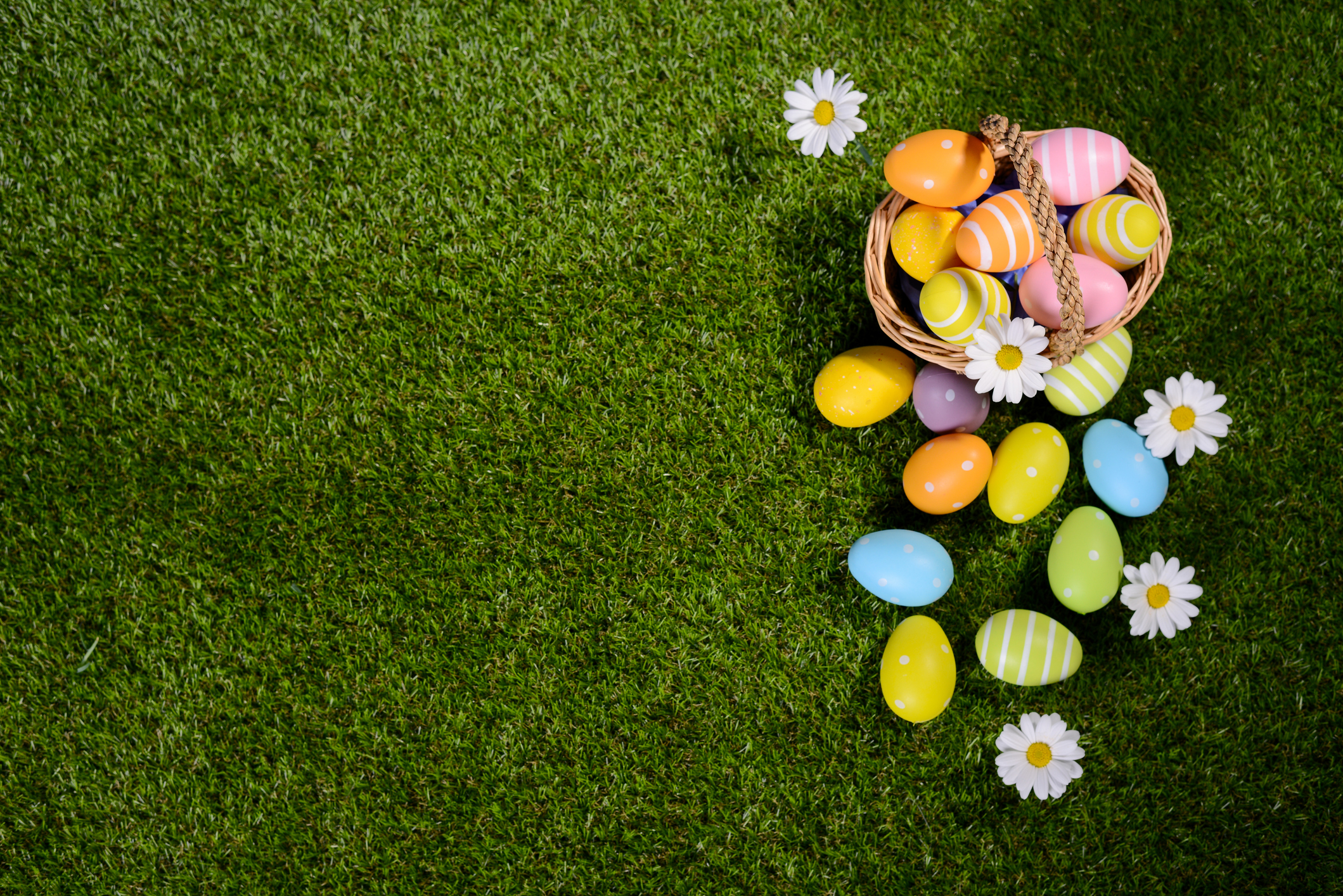 Easter basket on green grass with colourful easter eggs falling out