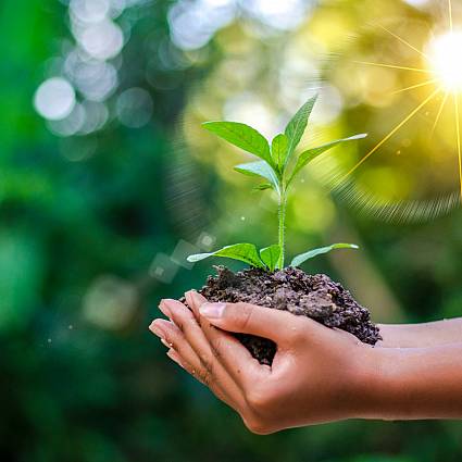 Our Green Policy