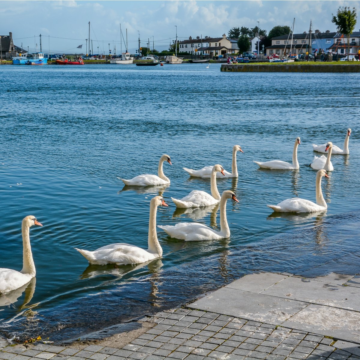 The Claddagh Galwyay