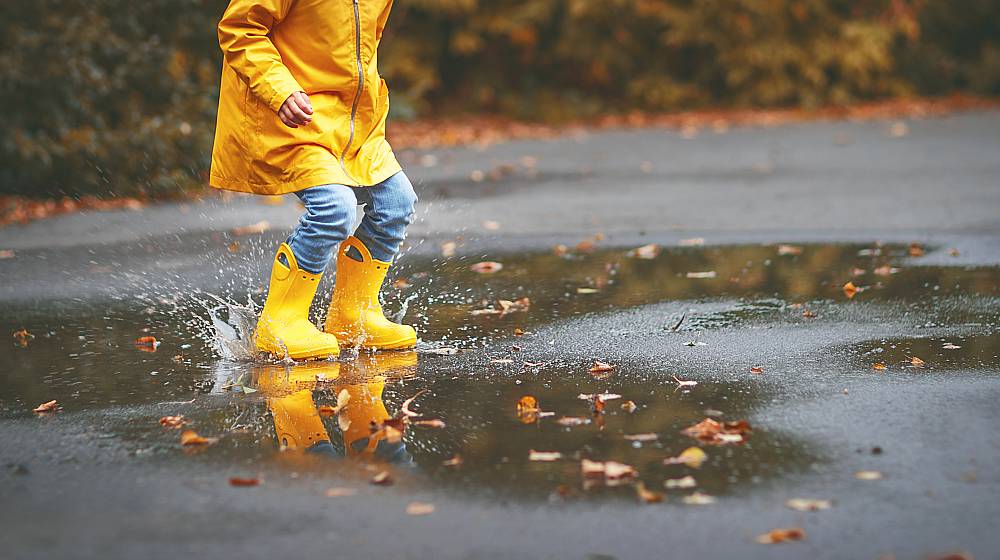 Family Fun in the Rain: Things to Do in Galway When it Pours