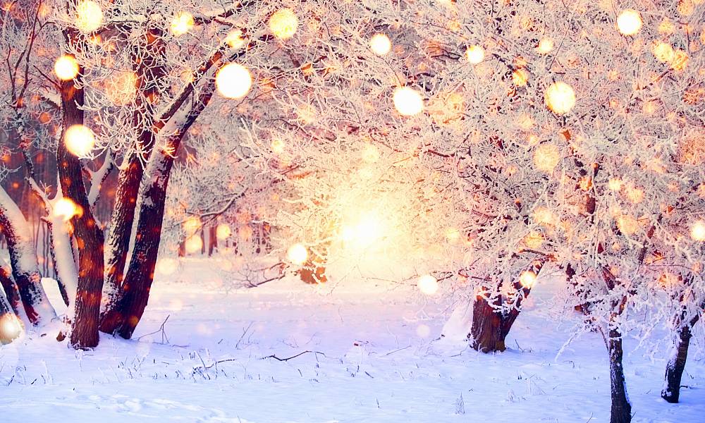 Wildlands Winter Wonderland
