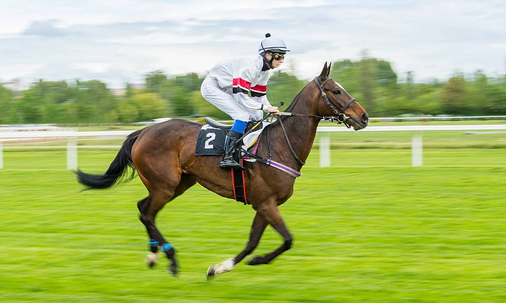 Galway Races October Festival