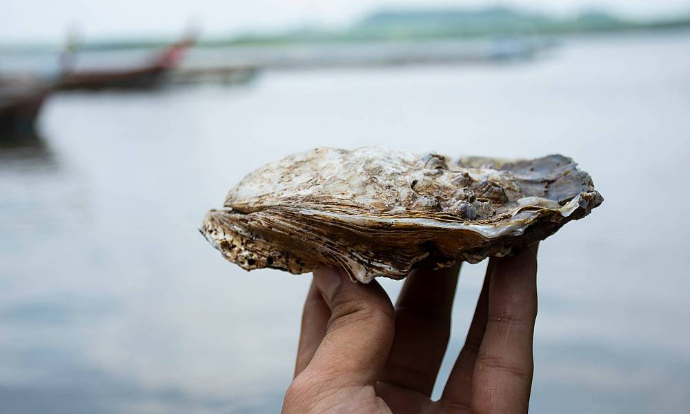 Galway International Oyster Festival