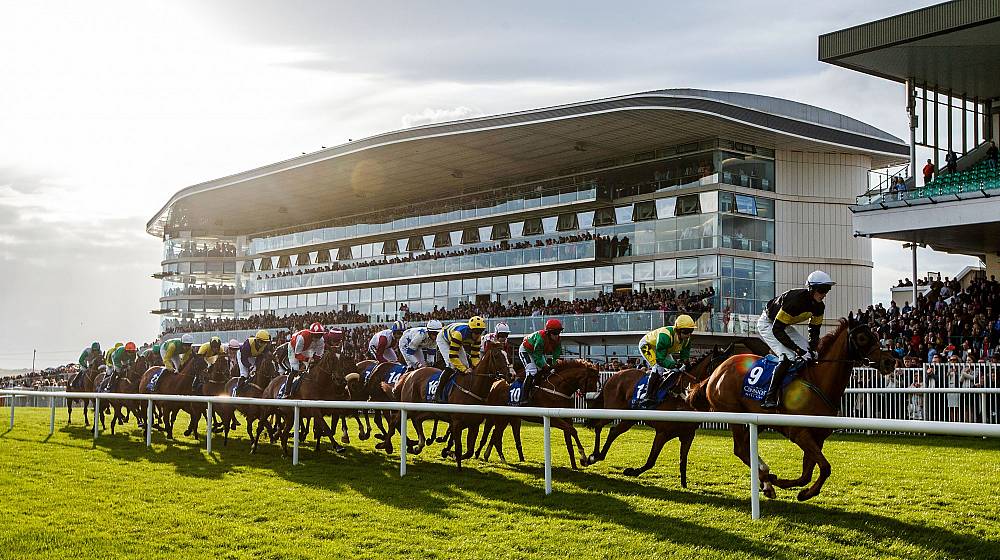 Insiders Tips for Galway Races